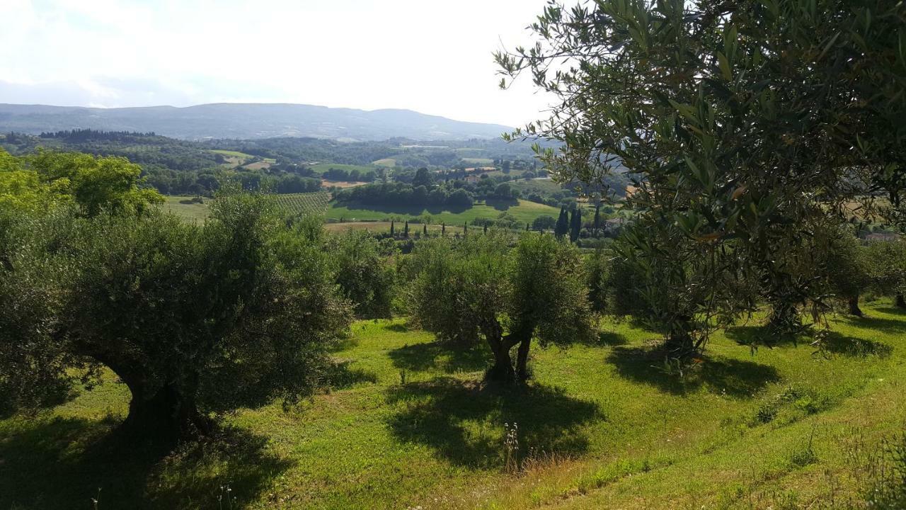Montevenere 83 Villa Chiusi Exterior photo